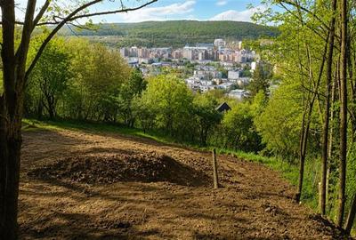 Teren Construcții intravilan de 1613 mp, în Platou