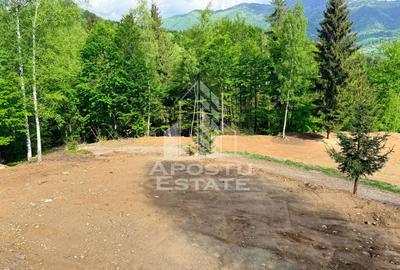 Oportunitate! Domeniu montan, cu lac propriu, oras Lupeni, Hunedoara - 30
