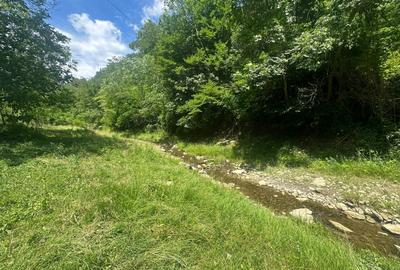 Casa de vacanta 98 mp| 25.000 mp teren| zona Valea Vintului - 4