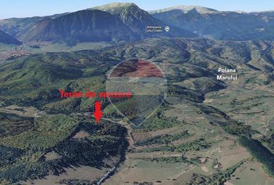 Teren Poiana Marului, 2053mp,  741mp si 3906mp inconjurat de padure - 10