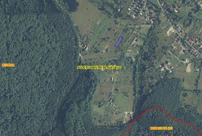 Teren 1500 mp pe str Paltinului, Valea Ghinzii , extravilan Bistrita - 6