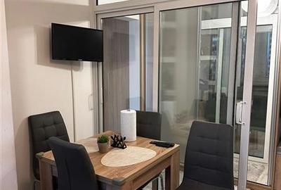 Inchiriere apartament 2 camere Brancoveanu - Oraselul Copiilor, Bucuresti - 10