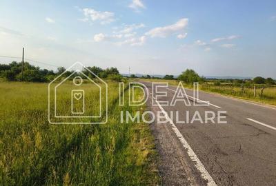 Teren agricol extravilan de 1800 mp, în Cârțișoara
