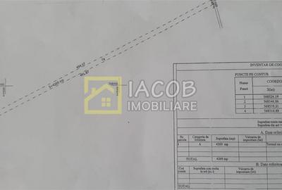 Teren agricol extravilan de 4269 mp, în Letea Veche