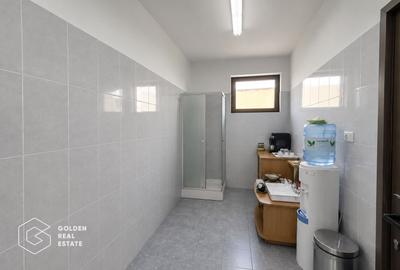 Hala industriala, 572 mp, Sud- Timisoara - 8
