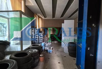 Investiție Rară în Zonă Centrală | 250 mp + 60 mp Demisol - 7