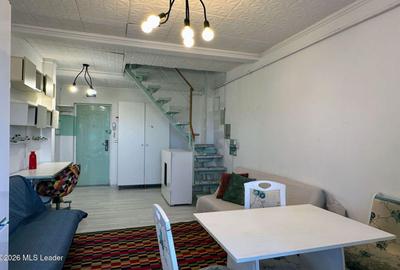 Fizicienilor - Lacramioarei, 3 camere 67 mp, pod 40 mp, modernizat - 2