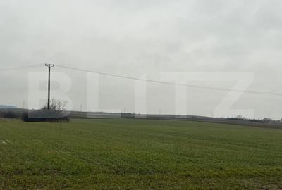 Teren Construcții intravilan de 10000 mp, în Exterior Sud