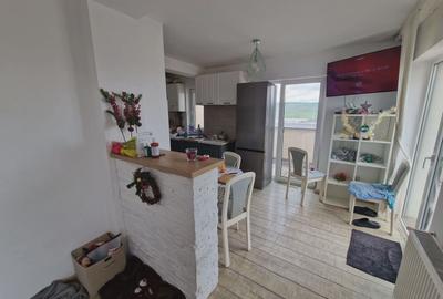Apartament 2 camere, terasa 28 mp, str Razoare in spate la Vivo Mall - 11