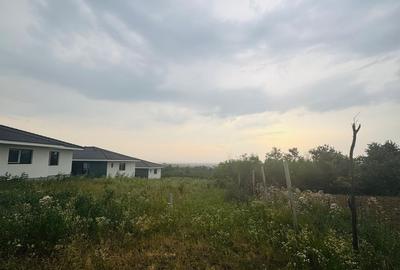 Teren intravilan de vânzare Paleu, zona Piersicilor langa padure - 3