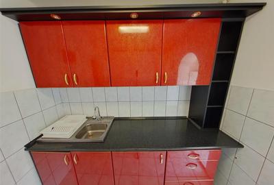 Apartament 2 camere decomandat Podgoria-Malul Muresului - 13