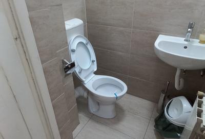 Vanzare vila p+2, birouri sau clinica, 9 camere,   Dorobanti (liceu Caragiale) - 13