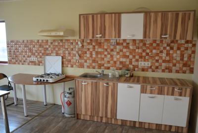 Inchiriez casa pentru muncitori in Dumbravita 100 euro/persoana - 11
