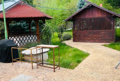 VILĂ ELEGANTĂ DE VÂNZARE LÂNGĂ BĂILE HERCULANE - 15