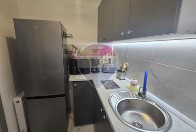 DE INCHIRIAT Apartament Ultra Central 2 camere - 13