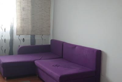 Zona Steaua, str Eternitatii, et 4, amenajata, mobilata - 4