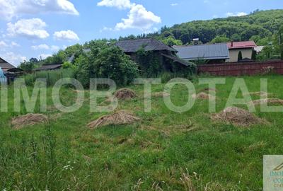 Casă cărămidă renovată, 3 camere, teren 1100 mp – Băjești, Argeș - 10