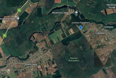 TEREN INTRAVILAN 794 MP MOARA VLASIEI / GRADISTEA - 9