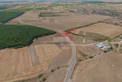 Terenuri 16.144 mp, Inel Metropolitan, vânzare integral sau separat - 14