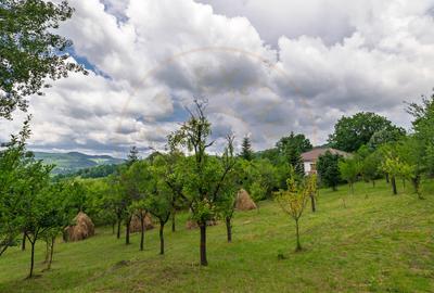 Casa moderna si casa bunicii + 6300 mp teren,Oaza autentica in Corbi Arges- - 17