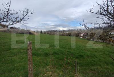 Teren Construcții intravilan de 2200 mp, în Ștefan cel Mare