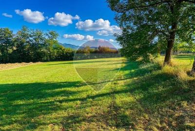 Teren 1,500mp Zarnesti zona Tohanita, priveliste deosebita, intre case - 3