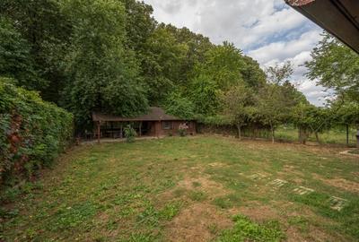 Casă P+1E+M | teren 640 mp | acces direct la pădure | Gruiu – Snagov | 2010 - 7