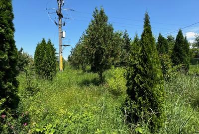 Teren intravilan de vanzare, 3000 mp, Izvoare, Bacau - 18