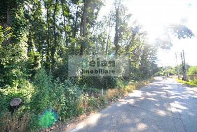 Corbeanca - Padure Petresti, 6000 Mp, Teren Unic, 52 Deschidere, Utili - 6