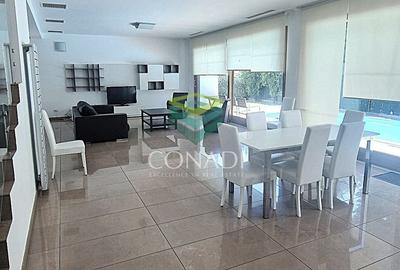 Iancu Nicolae, vila de inchiriat, 5 camere - 1