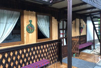 Proprietate superba,compusa din 3 cabane,1175 mp teren.TRANSFAGARASAN - 19