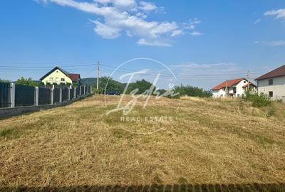 Teren intravilan pentru casa in Talmaciu - 13