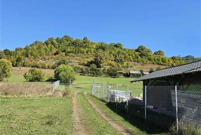 Teren intravilan - Sovata - Capeti - zona in plina expansiune imobiliara - 2