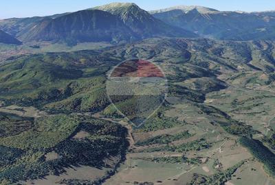 Teren Poiana Marului, 2053mp,  741mp si 3906mp inconjurat de padure - 1