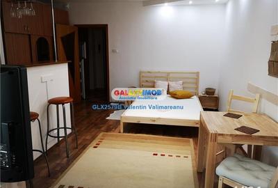 Garsoniera Pantelimon Aleea Dobrina cod GLX 1 - 6