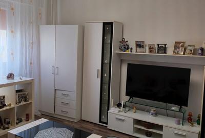 Colentina, Doamna Ghica, Parc Plumbuita, semistradal - 5