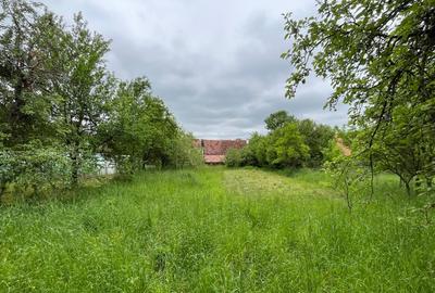 🏡 Casă săsească autentică în Viscri (UNESCO) | 2.500+ mp | Potențial pensiune | - 6