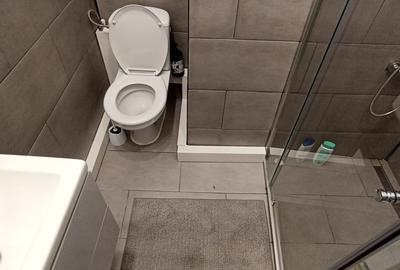 Inchiriere ap 2 cam et 1 complet mobilat si utilat ASE Piata Romana Buc sector 1 - 9