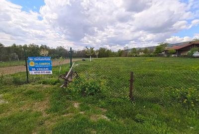 Teren Construcții intravilan de 19209 mp, în Crasna