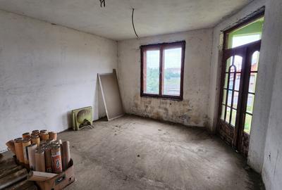 Vand casa mare și teren mare în Peciu Nou - 5
