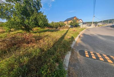Teren intravilan 1.600 mp Mioveni – Zona Pruni - 2