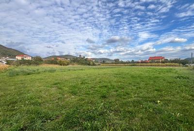TEREN INTRAVILAN DE VÂNZARE – 2.500 MP – LA 15 KM DE BISTRIȚA - 3