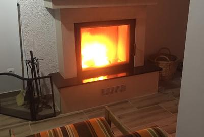 CASA SI LIVADA 2000 MP SILISTEA SNAGOVULUI - 17