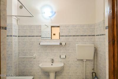 Lunei - Ion Neculce, 2 Apartamente. Mansarda 157 mp. Anexe, Lot 475 mp - 7