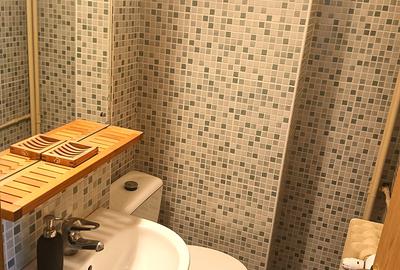Apartament cu 3 camere de închiriat – Piața Unirii | Vedere directă către Fântân - 14