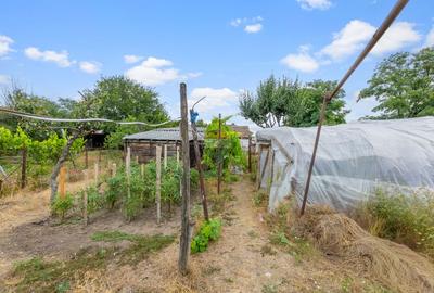 Casă de vânzare în zona Gai cu teren de 1.480 mp - 17