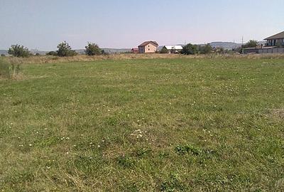 Teren Construcții intravilan de 4853 mp, în Vest
