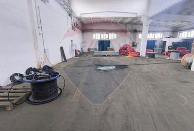 Hala de vanzare Drumul intre Tarlale - Pallady - 12