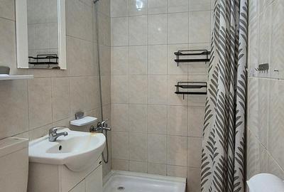 Apartament mobilat si utilat, ideal investitie. ZERO comision. - 9