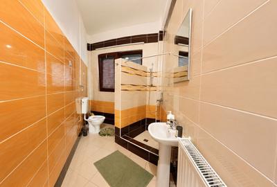 Afacere funcțională - Sală de Evenimente–Motel – Loc. Valea lui Mihai - 24